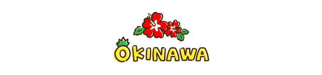 沖縄のハイビスカスのイラスト