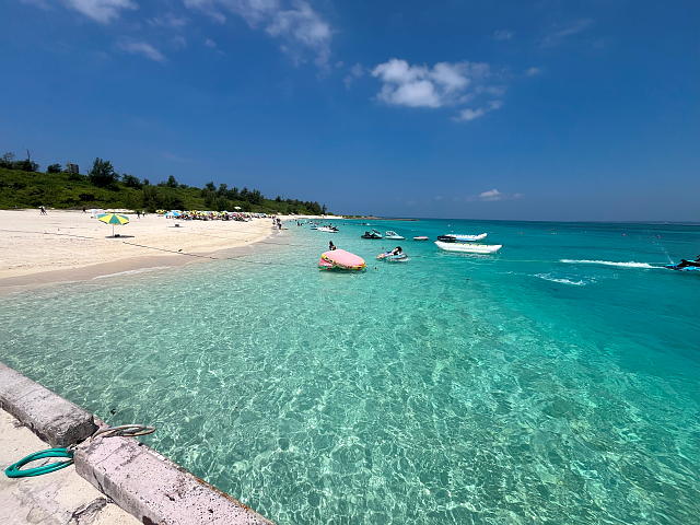 �G�������h�O���[���ɋP�����[�r�[�`�̗l�q